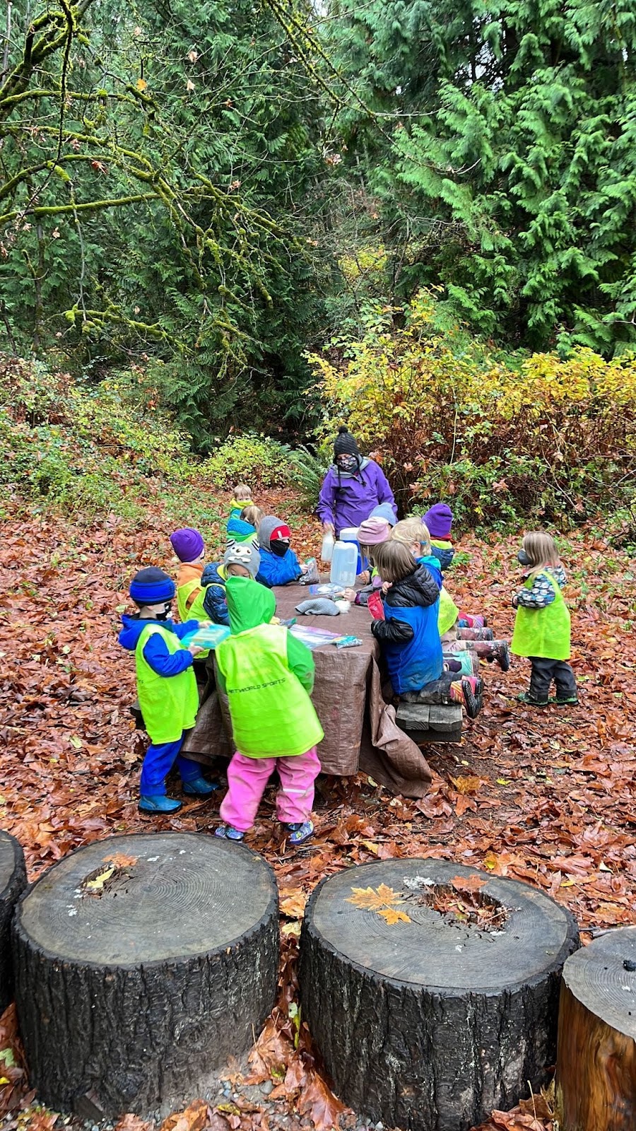 Tiny Treks NW Outdoor School | 8708 196th Ave NE, Redmond, WA 98053, USA | Phone: (425) 503-6953