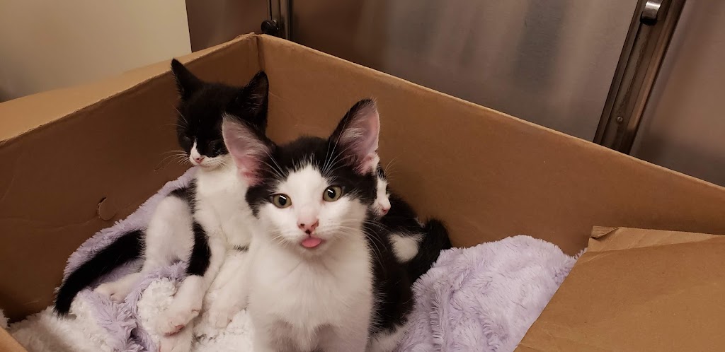 Hometown Veterinary Services | 7375 Middlebranch Ave NE, Canton, OH 44721, USA | Phone: (330) 305-6500