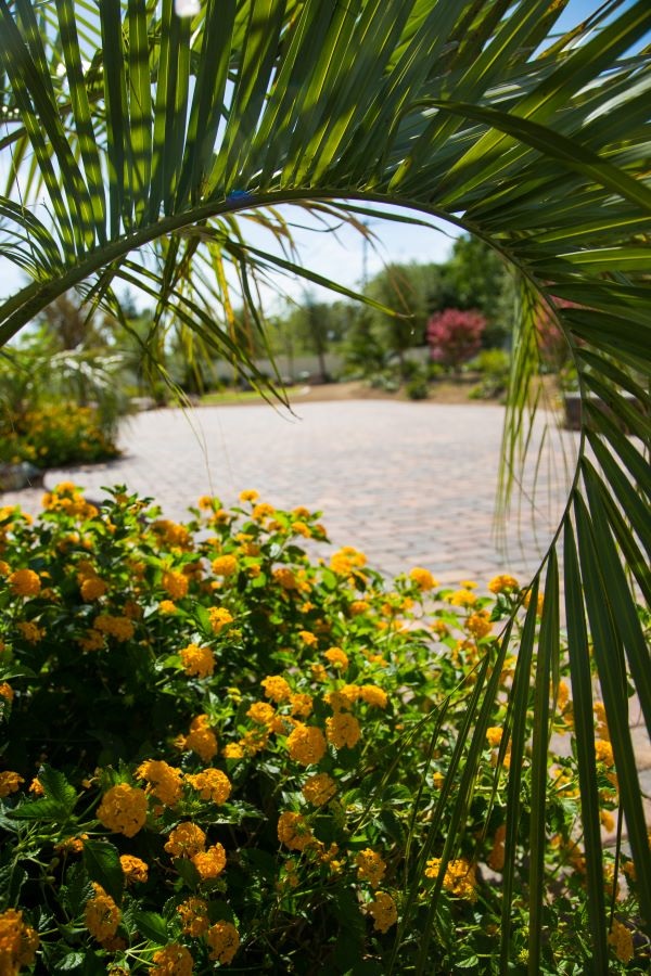 Desert Hope Treatment Center | 2465 E Twain Ave, Las Vegas, NV 89121, United States | Phone: (702) 874-3798