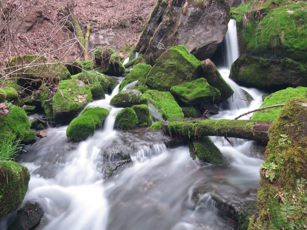 Cave River Valley Natural Area | 6031-6871 N Cave River Valley Rd, Campbellsburg, IN 47108, USA | Phone: (812) 849-3534