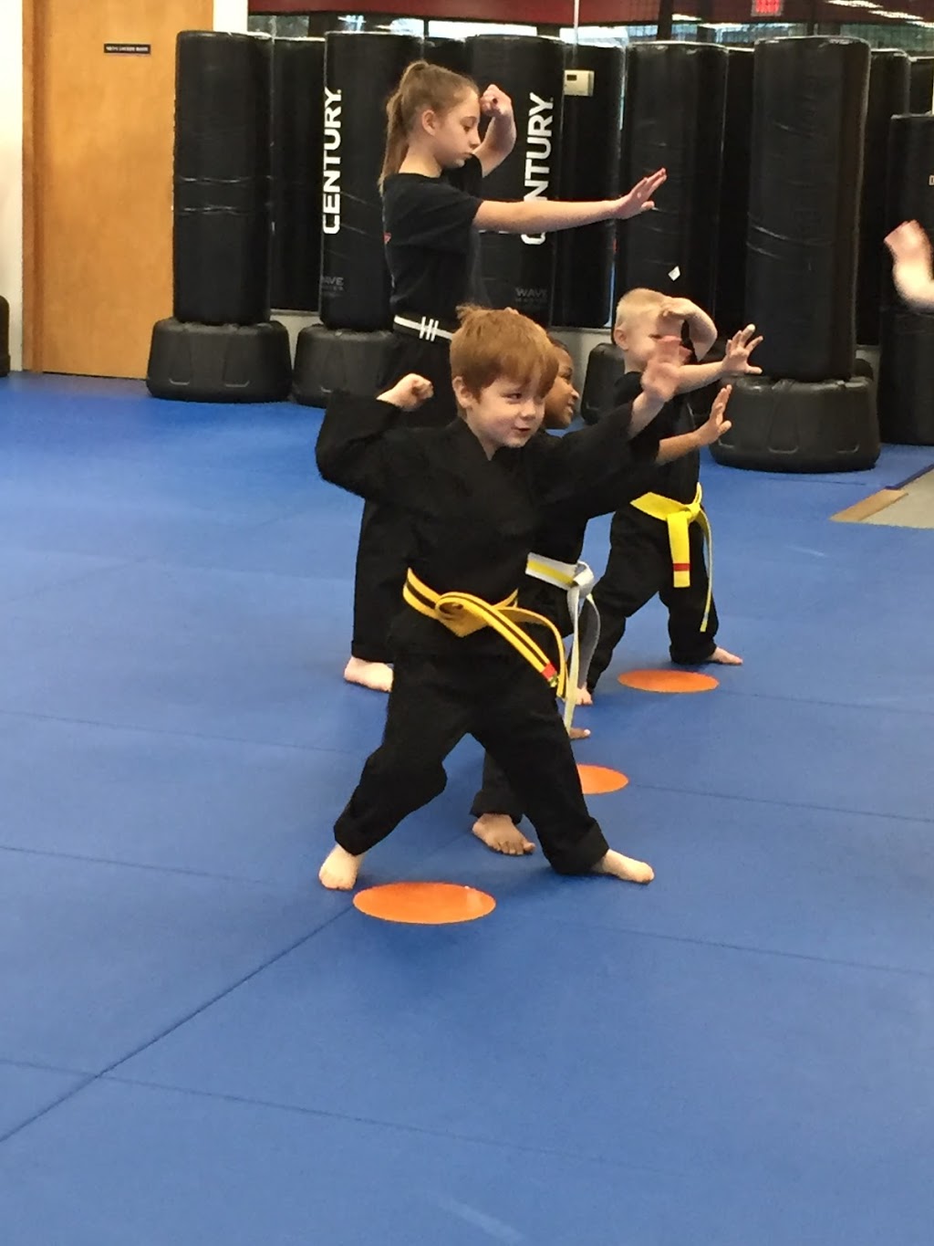 Master Khechens Martial Arts Academy | 1630 Hopkins Rd, Williamsville, NY 14221 | Phone: (716) 688-8878