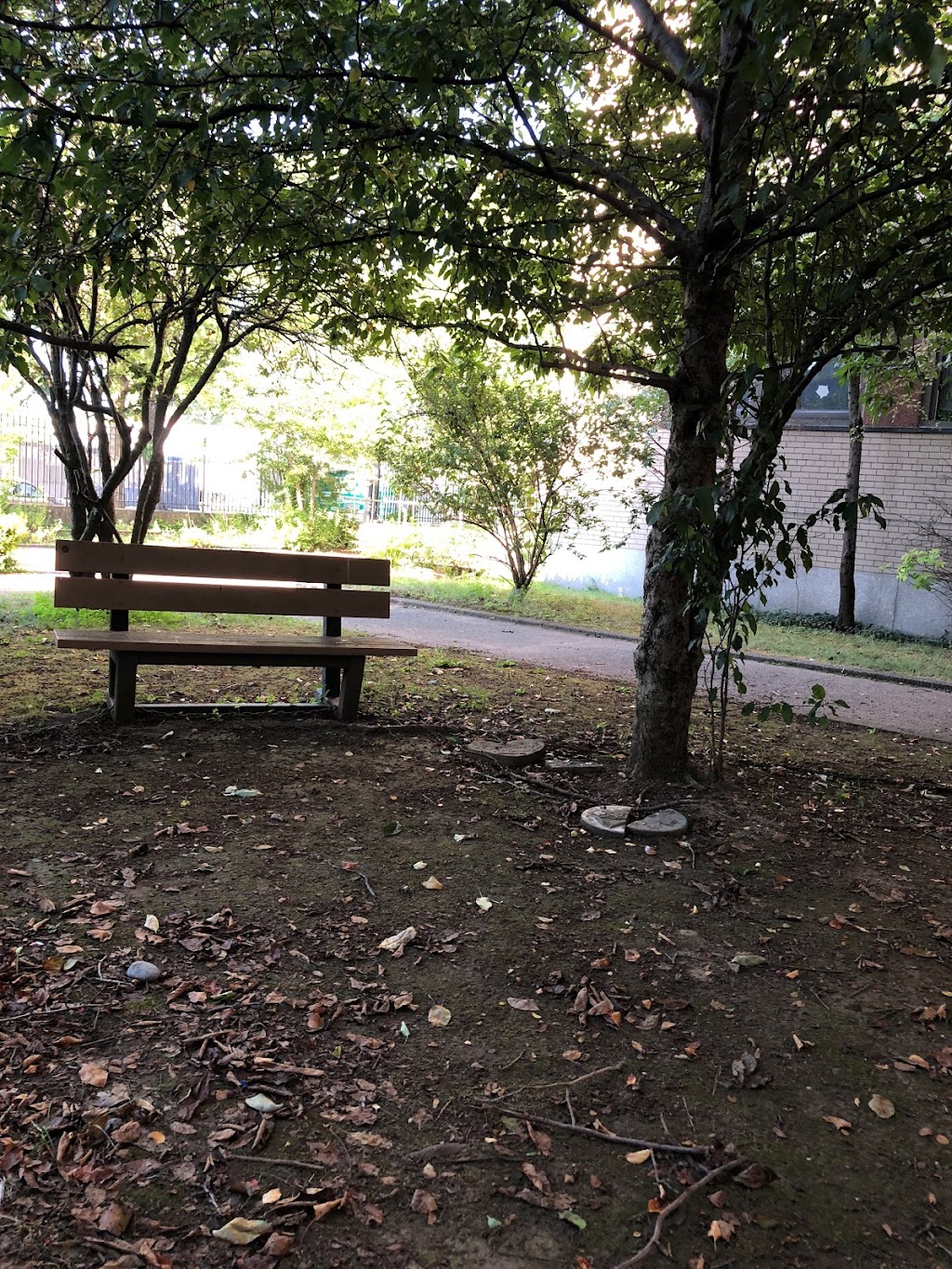 J.H.S. 216 George J. Ryan | 64-20 175th St, Queens, NY 11365, USA | Phone: (718) 358-2005