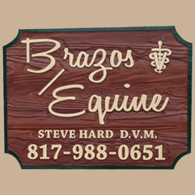 Brazos Equine Services | 5255 New Tin Top Rd, Weatherford, TX 76087, USA | Phone: (817) 988-0651