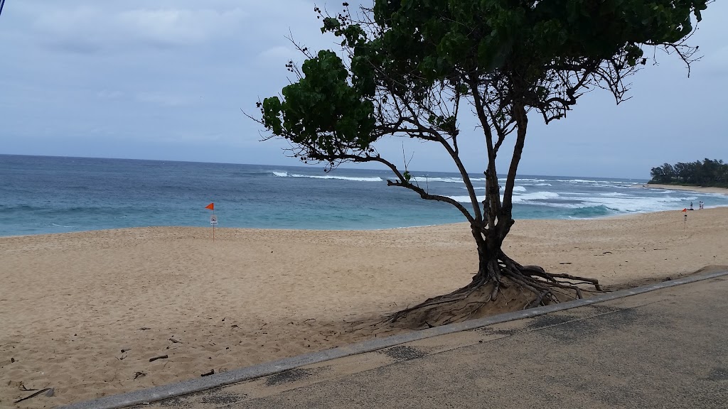 Sunset Beach Neighborhood Park | 59 Kamehameha Hwy, Haleiwa, HI 96712, USA | Phone: (808) 768-3003 Sunset Beach Neighborhood Park | 59 Kamehameha Hwy, Haleiwa, HI 96712, USA | Phone: (808) 768-3003