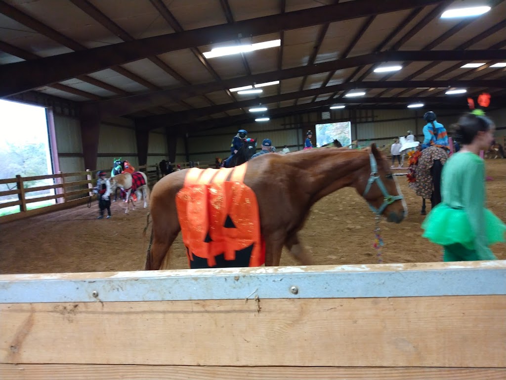 Blue Skies Riding Academy | 501 Puckett Rd SE, Emerson, GA 30137, USA | Phone: (770) 926-2003