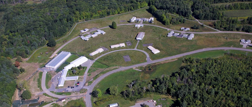 Fulton County Industrial Development Agency (IDA) | 1 E Montgomery St, Johnstown, NY 12095, USA | Phone: (518) 736-5660