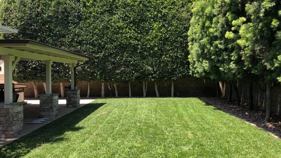 Felix landscaping & trees service maintenance | 870 Reeves Pl, Pomona, CA 91767, USA | Phone: (714) 866-1782