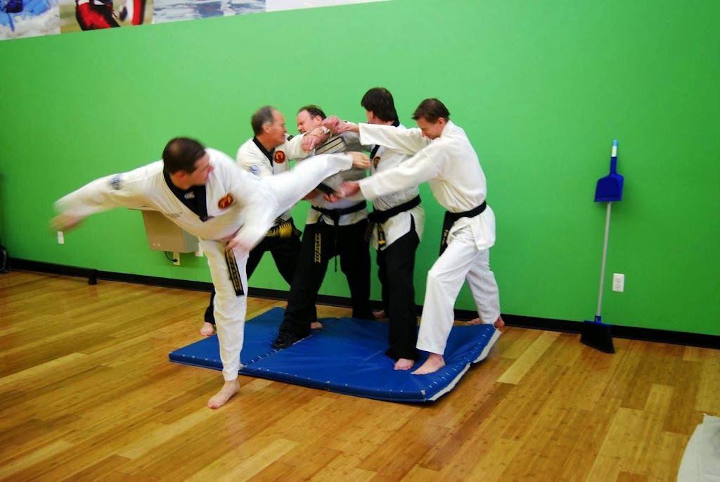 Great Lakes Martial Arts Academy | 43061 Mound Rd, Sterling Heights, MI 48314, USA | Phone: (586) 850-1356