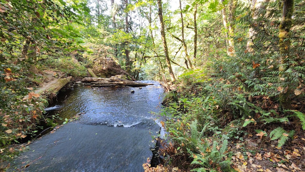 Victor Falls City Park | 18212 Rhodes Lake Rd E, Bonney Lake, WA 98391, USA | Phone: (253) 862-8602