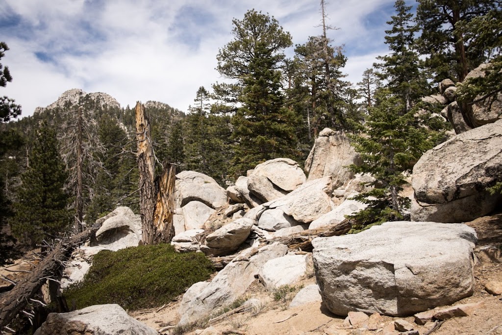 Round Valley Trailhead | Round Valley Trail, California, USA | Phone: (760) 325-1449