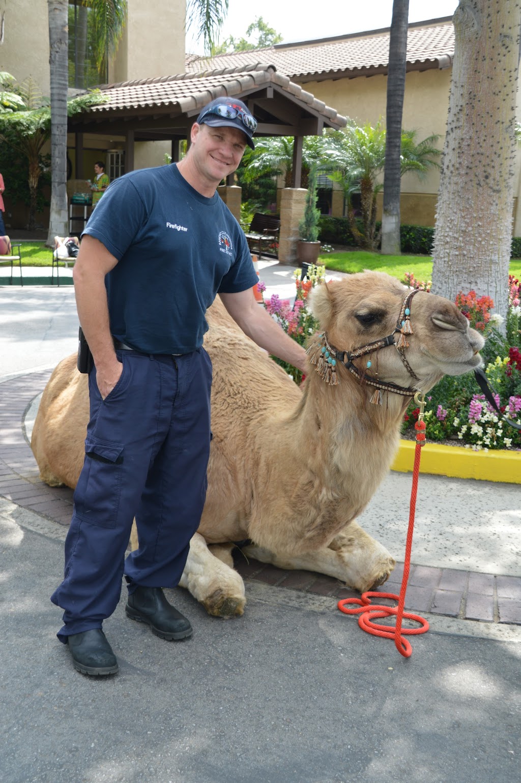 Rancho Cucamonga Fire Department | 10500 Civic Center Dr, Rancho Cucamonga, CA 91730, USA | Phone: (909) 477-2770 Rancho Cucamonga Fire Department | 10500 Civic Center Dr, Rancho Cucamonga, CA 91730, USA | Phone: (909) 477-2770