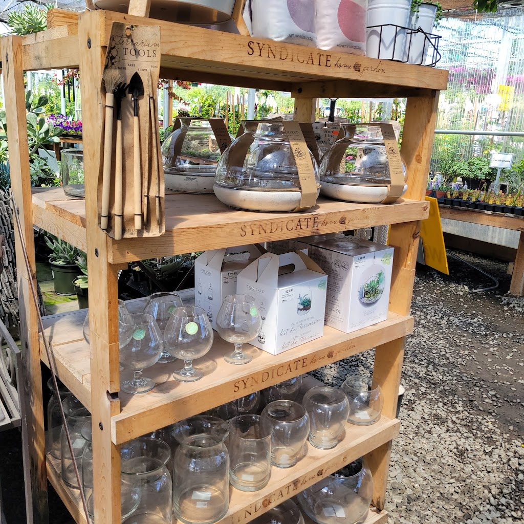 Tonys Garden Center | 23900 SE Hwy 212, Damascus, OR 97089, USA | Phone: (503) 658-8669