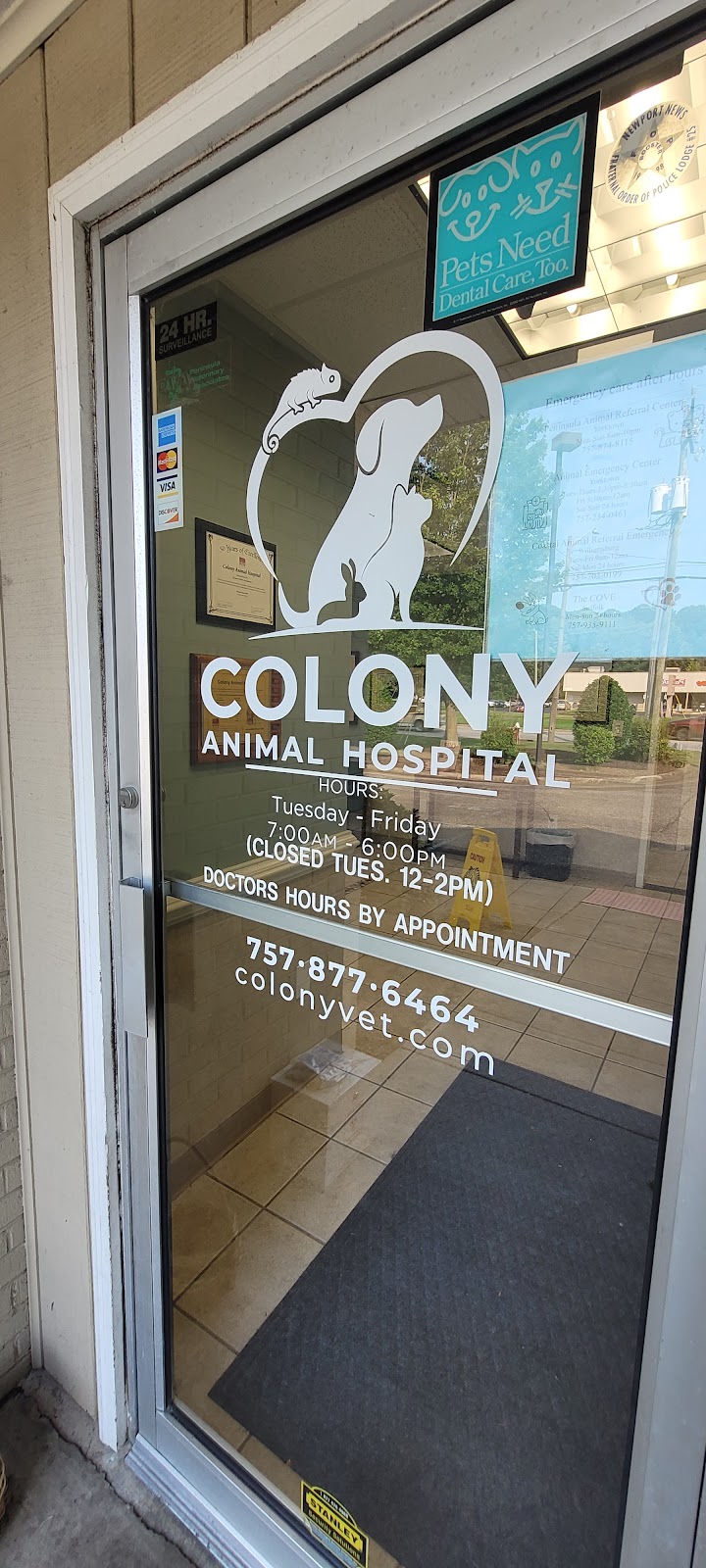 Colony Animal Hospital | 13187 Warwick Blvd, Newport News, VA 23602, USA | Phone: (757) 877-6464