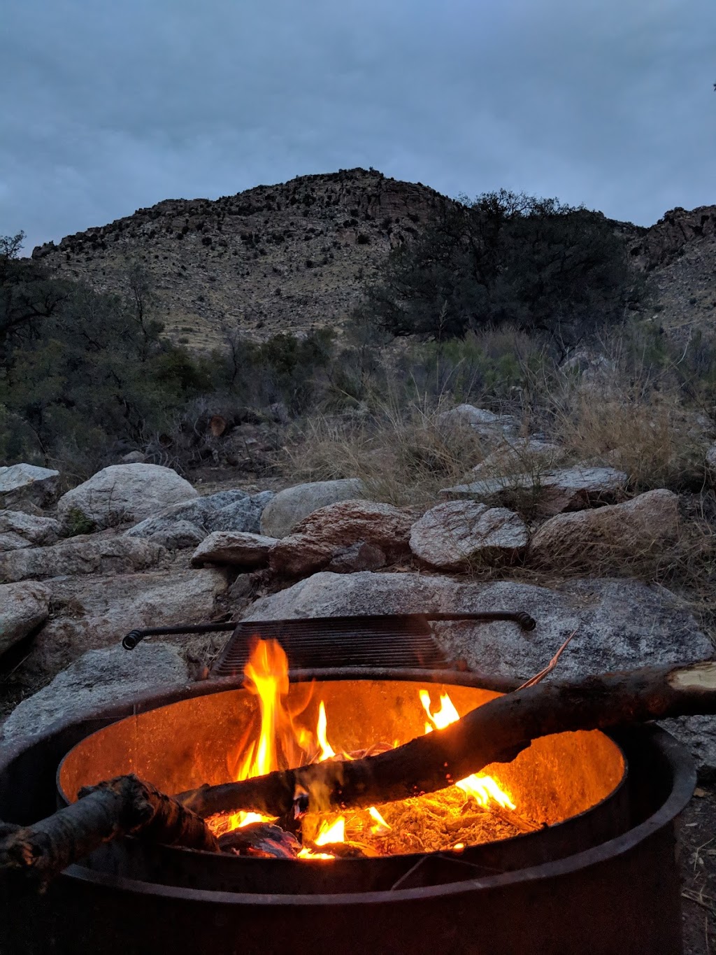 Molino Basin Campground | Catalina Hwy, Tucson, AZ 85749, USA | Phone: (520) 749-8700