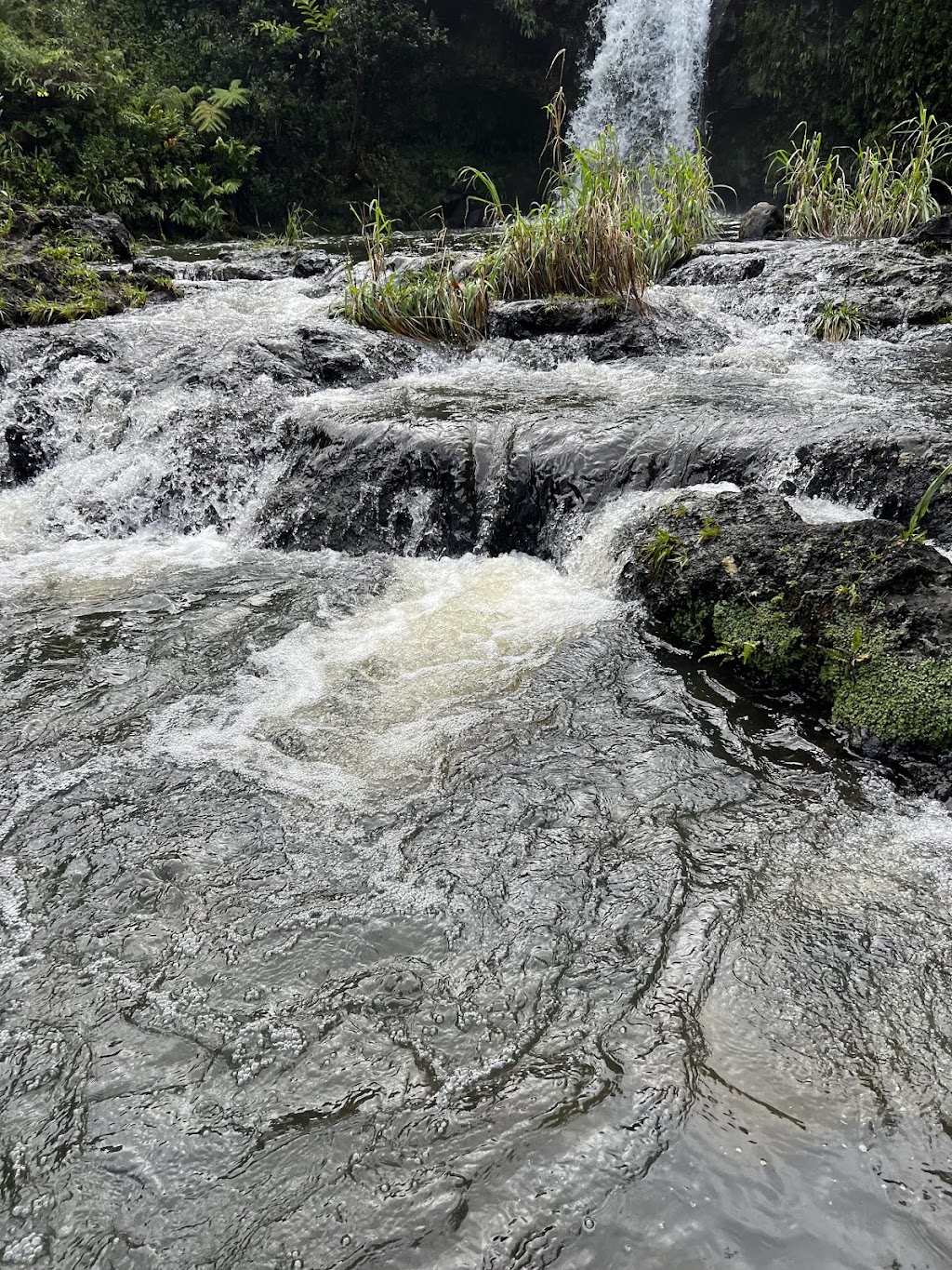 Hawaii Tours | 55-541 Naniloa Loop, Laie, HI 96762, USA | Phone: (808) 379-3701