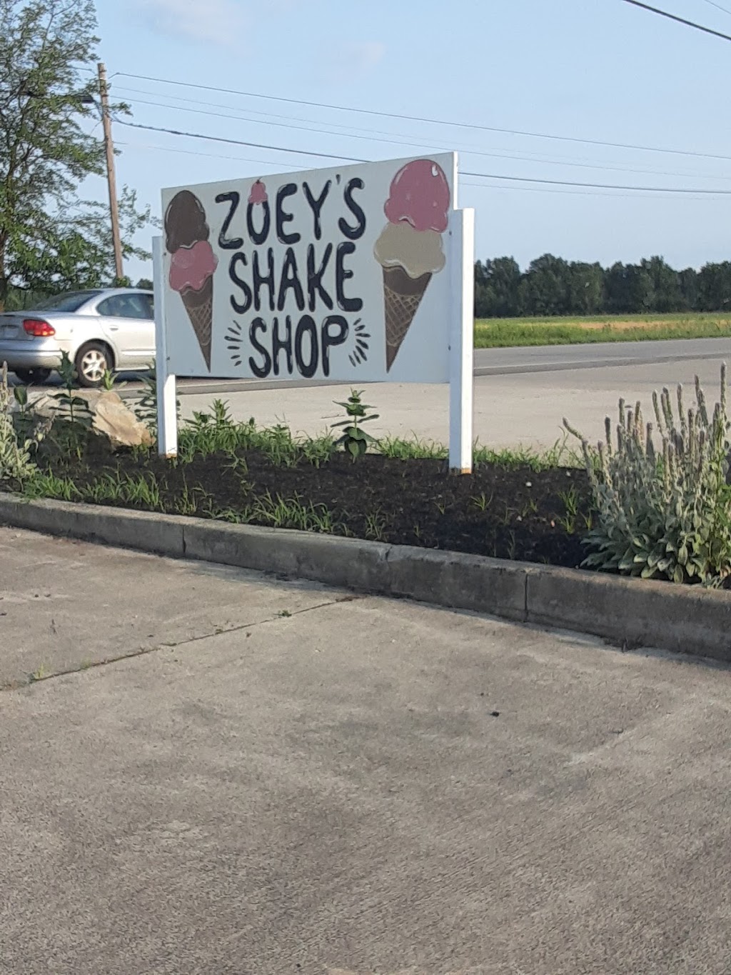 Zoeys shake shop | 9488 Leavitt Rd, Elyria, OH 44035, USA | Phone: (440) 986-5881