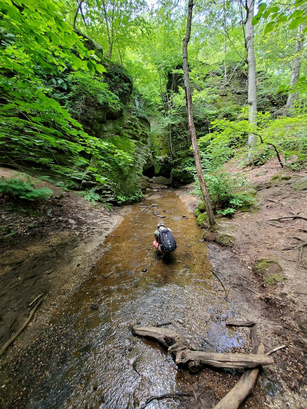 Nelson Ledges Quarry Park | 12001 Nelson Ledge Rd, Garrettsville, OH 44231, USA | Phone: (440) 548-2716