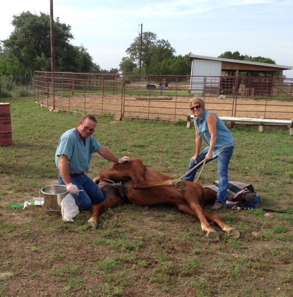 Fry Equine Health Mobile Large Animal Veterinarian | 10930 Ranch Rd 1431, Marble Falls, TX 78654, USA | Phone: (830) 220-4712