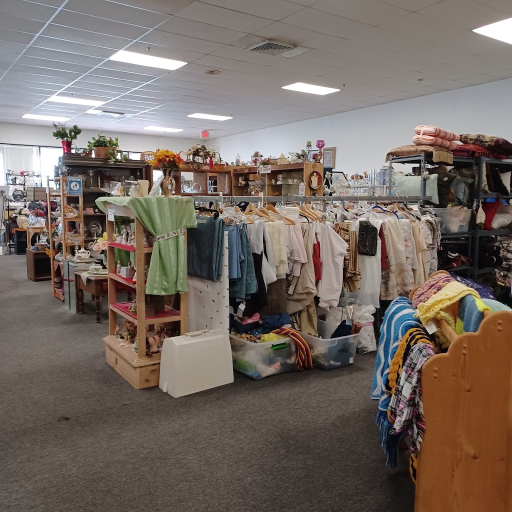 Orphans Rock Thrift Shop | 2702 Old Highway #441, Mt Dora, FL 32757, USA | Phone: (352) 383-1104