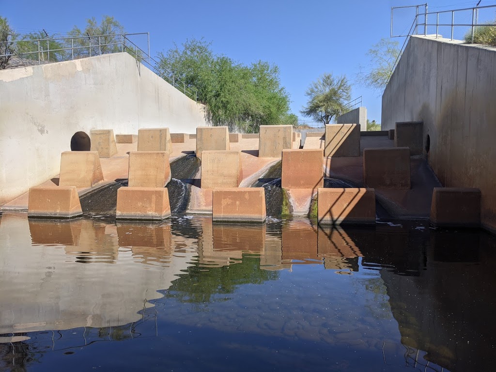 Rio Salado Habitat Restoration Area | 2439 S Central Ave, Phoenix, AZ 85004, USA | Phone: (602) 262-6863