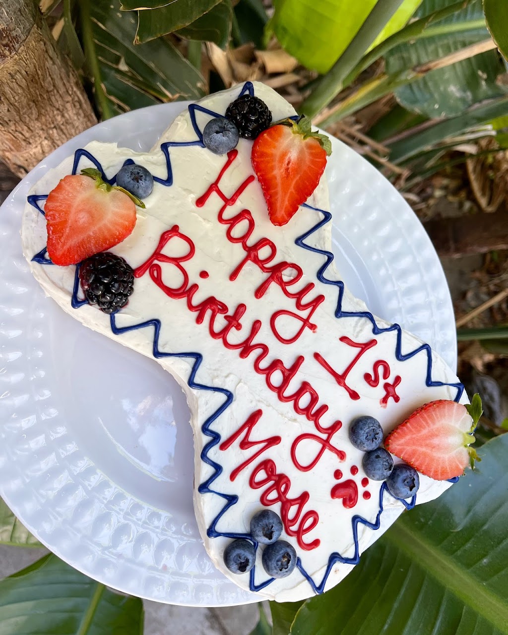 Frost Paws Dog Bakery | 17447 Filbert St, Fontana, CA 92335, USA | Phone: (951) 500-7310