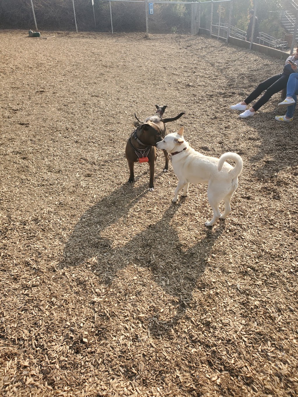 Pantera Dog Park | 738 Pantera Dr, Diamond Bar, CA 91765, USA | Phone: (909) 839-7070