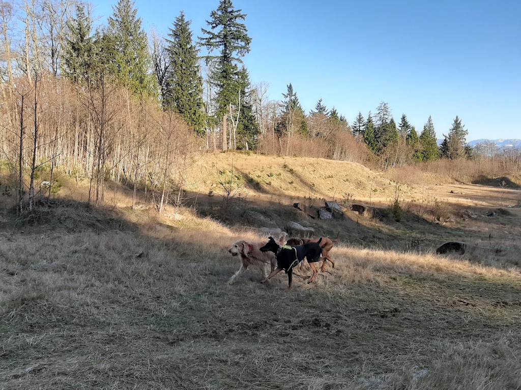 Harvey Manning Trailhead | SE Cougar Mountain Dr, Renton, WA 98059, USA | Phone: (206) 625-1367