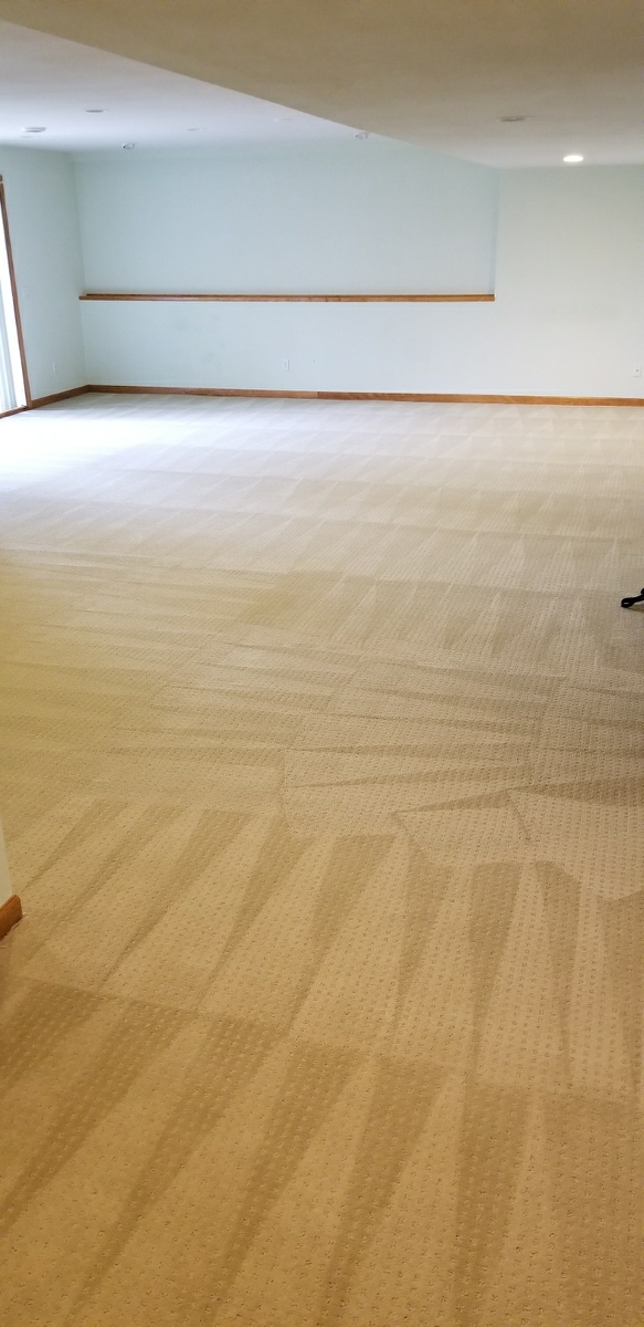 The Green Team Carpet & Air Duct Cleaning | 8407 Yukon Cir N, Champlin, MN 55316, USA | Phone: (763) 772-7550