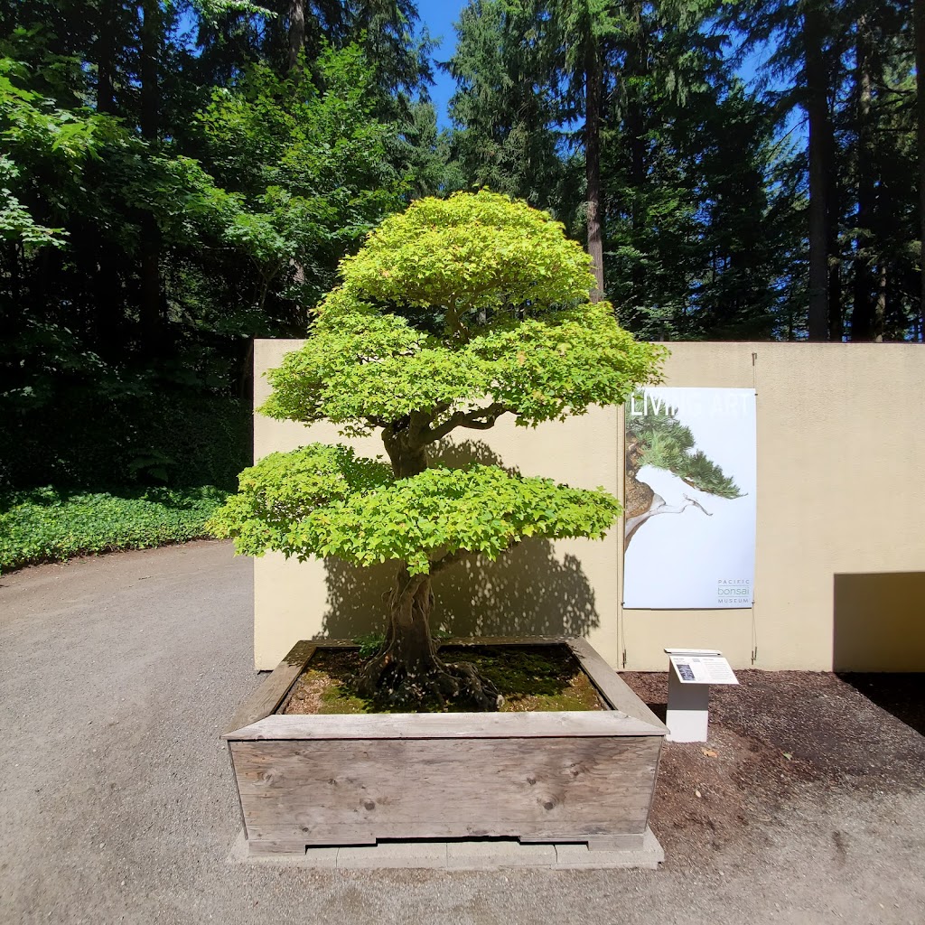 Pacific Bonsai Museum | 2515 S 336th St, Federal Way, WA 98003, USA | Phone: (253) 353-7345