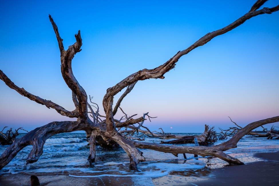 Big Talbot Island State Park | A1A North, Jacksonville, FL 32226, USA | Phone: (904) 251-2320