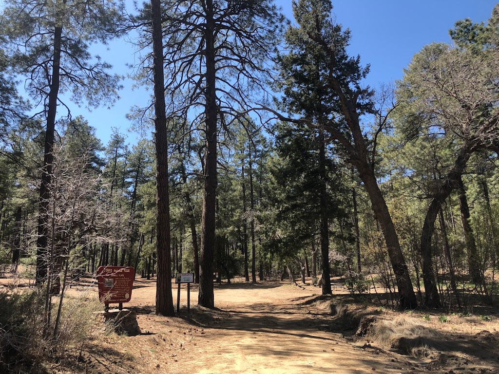 Sawmill Flats Campground | Globe-Young Hwy, Young, AZ 85554, USA | Phone: (928) 462-4300