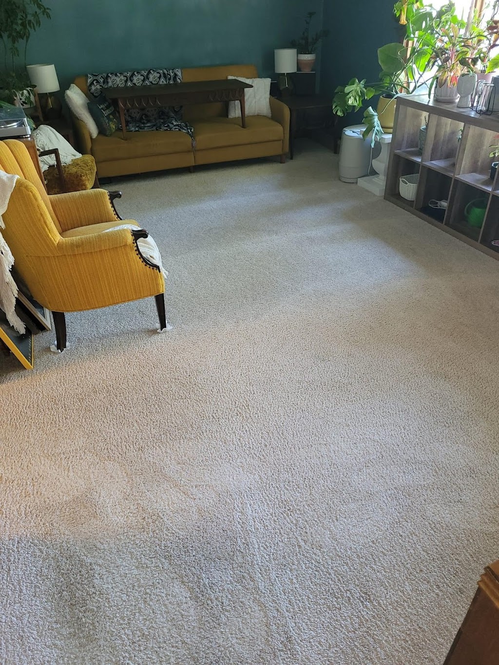 Darras Carpet Care | 11028 Greenville Rd, Van Wert, OH 45891, USA | Phone: (419) 238-1185