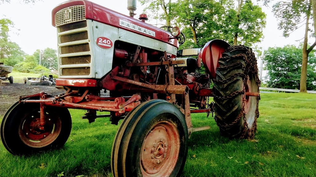 Historic Niagara River Cottage | 1900 E River Rd, Grand Island, NY 14072, USA | Phone: (716) 998-0318