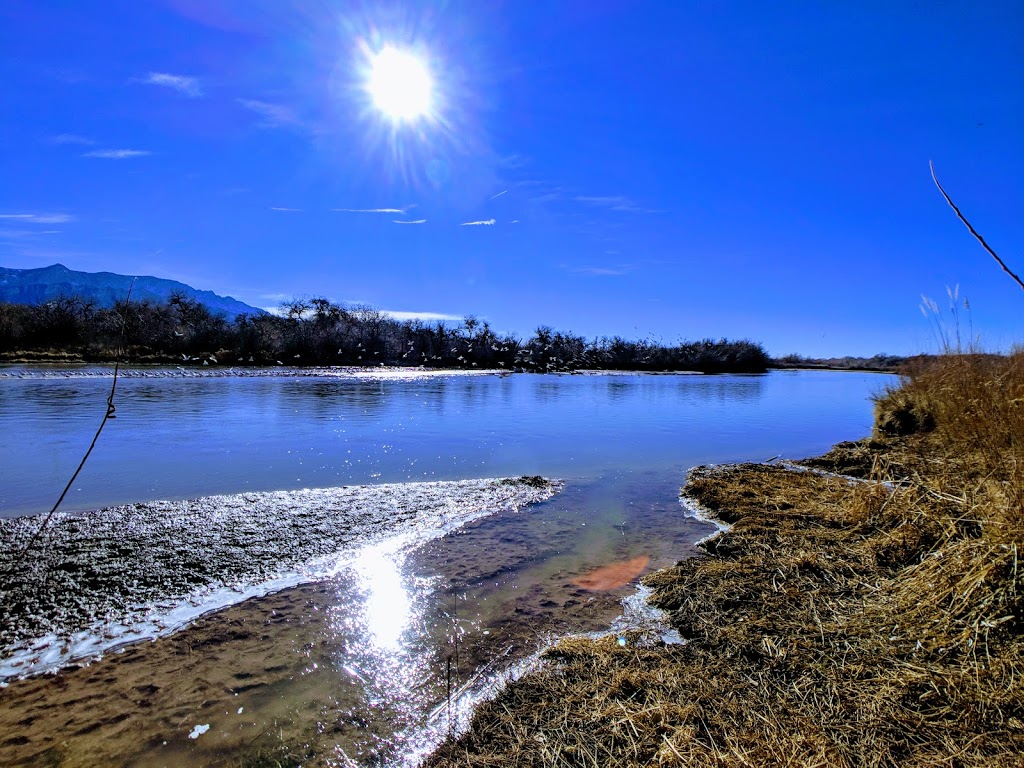 Rio Rancho Bosque Preserve - Riverside Dr Entrance | 1740 Black River Dr NE, Rio Rancho, NM 87144, USA | Phone: (505) 891-5015