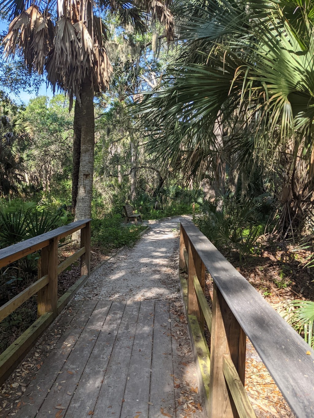 Oscar Scherer State Park | 1843 S Tamiami Trail, Osprey, FL 34229, USA | Phone: (941) 483-5956