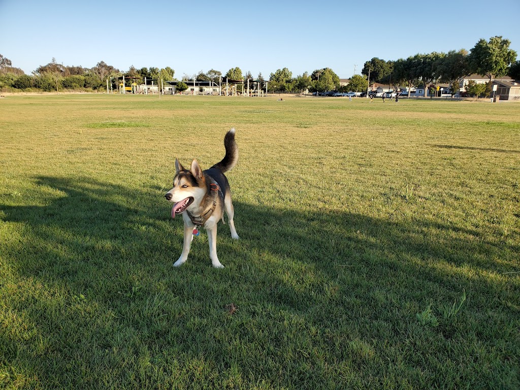 Watson Park | N 22nd St & Jackson St, Watson Park Soccer Field, San Jose, CA 95112, USA | Phone: (408) 535-3500