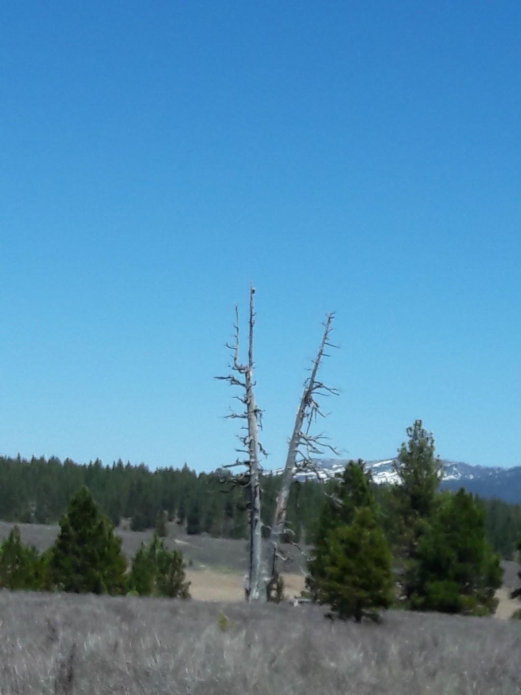 Prosser Ranch Group Campground | Truckee, CA 96161, USA | Phone: (530) 587-3558