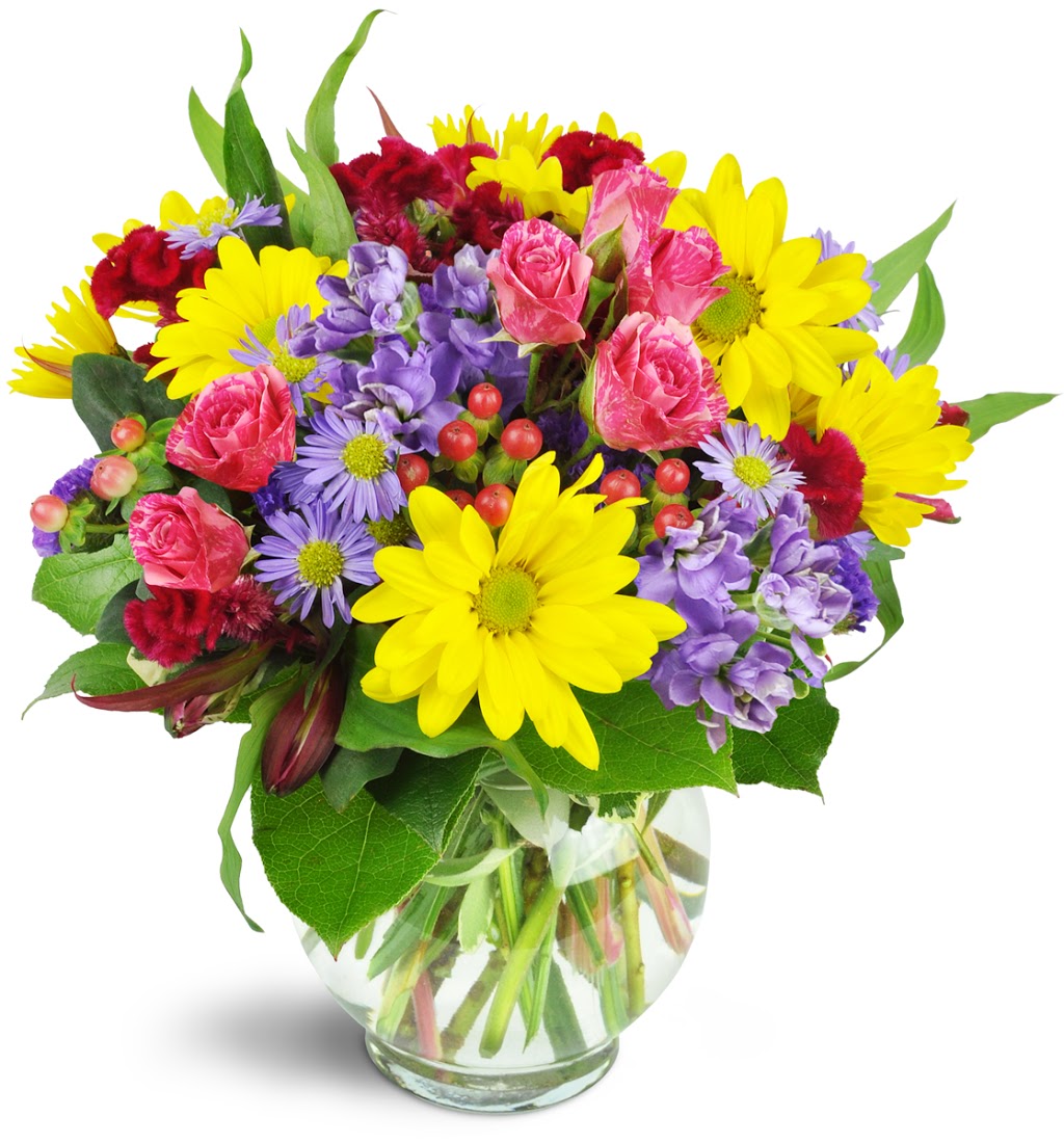 Dianes Flowers & Gifts | 586 W 19th St, Costa Mesa, CA 92627 | Phone: (714) 775-6600