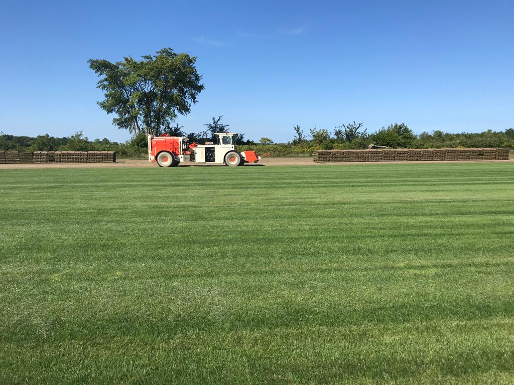 L & M Sod Farms Ltd. | 15511 Essex 8, Oldcastle, ON N0R 1L0, Canada | Phone: (519) 737-7214