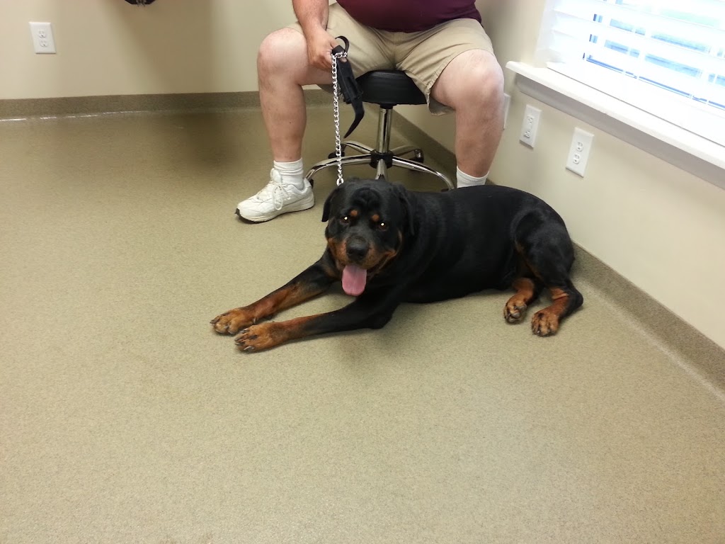 Hannah Creek Veterinary Hospital | 375 N Wall St, Benson, NC 27504, USA | Phone: (919) 207-2800