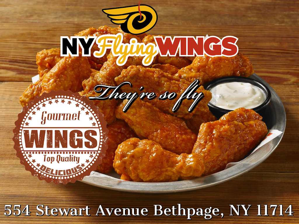 NY Flying Wings | 554 Stewart Ave, Bethpage, NY 11714, USA | Phone: (516) 433-2463