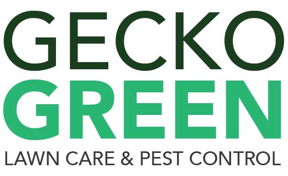 Gecko Green | 1306 Exchange Dr, Richardson, TX 75081, United States | Phone: (972) 526-5278