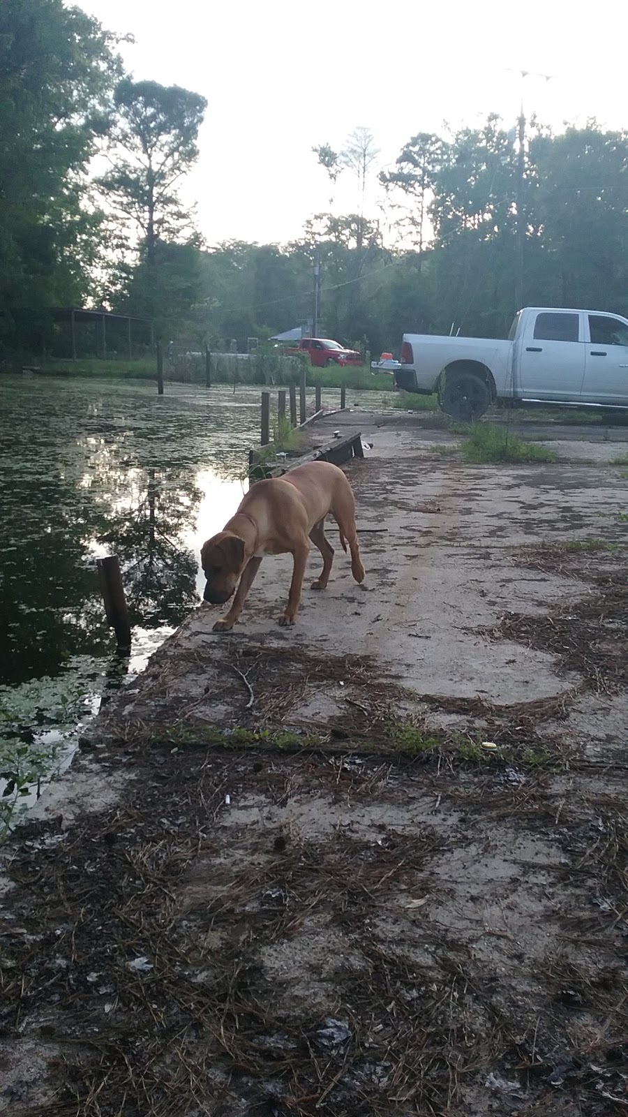 Black Lake Club Bait & Tackle | 25855 Black Lake Club Rd, Maurepas, LA 70449, USA | Phone: (225) 695-6447