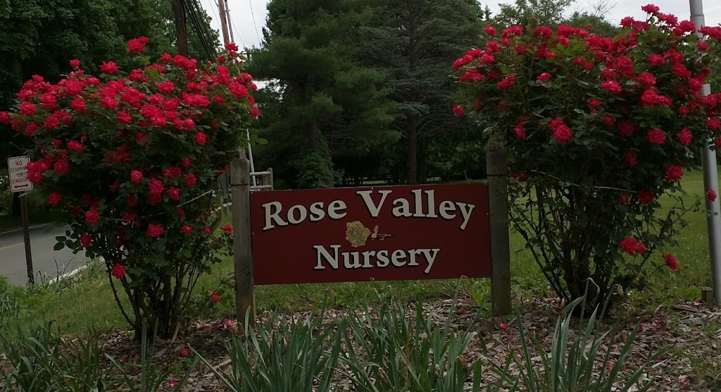 Rose Valley Nursery | 1529 Valley Rd, Millington, NJ 07946, USA | Phone: (908) 647-1689