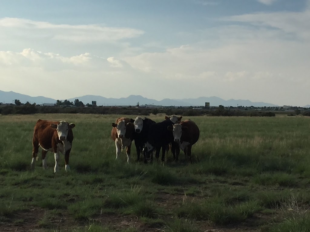 NM Smart Meats | 2 Spring Ct, Edgewood, NM 87015, USA | Phone: (505) 553-2366