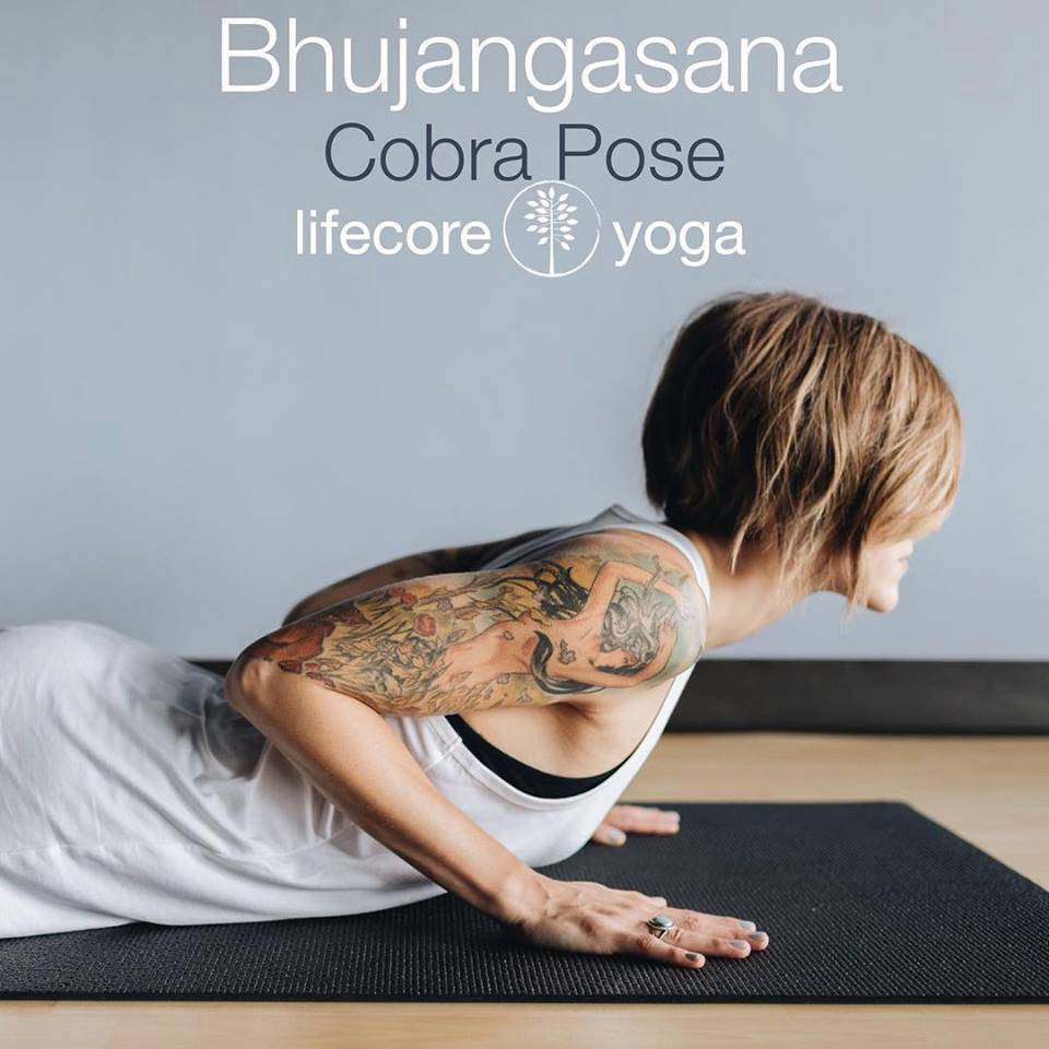 LifeCore Yoga | 1011 Meadowlands Dr #10, White Bear Lake, MN 55127, USA | Phone: (612) 986-7216