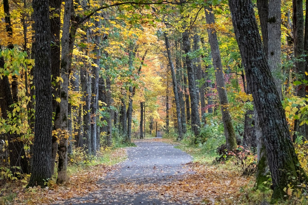 Wild River State Park | b n, 39797 Park Trail, Center City, MN 55012, USA | Phone: (651) 583-2925