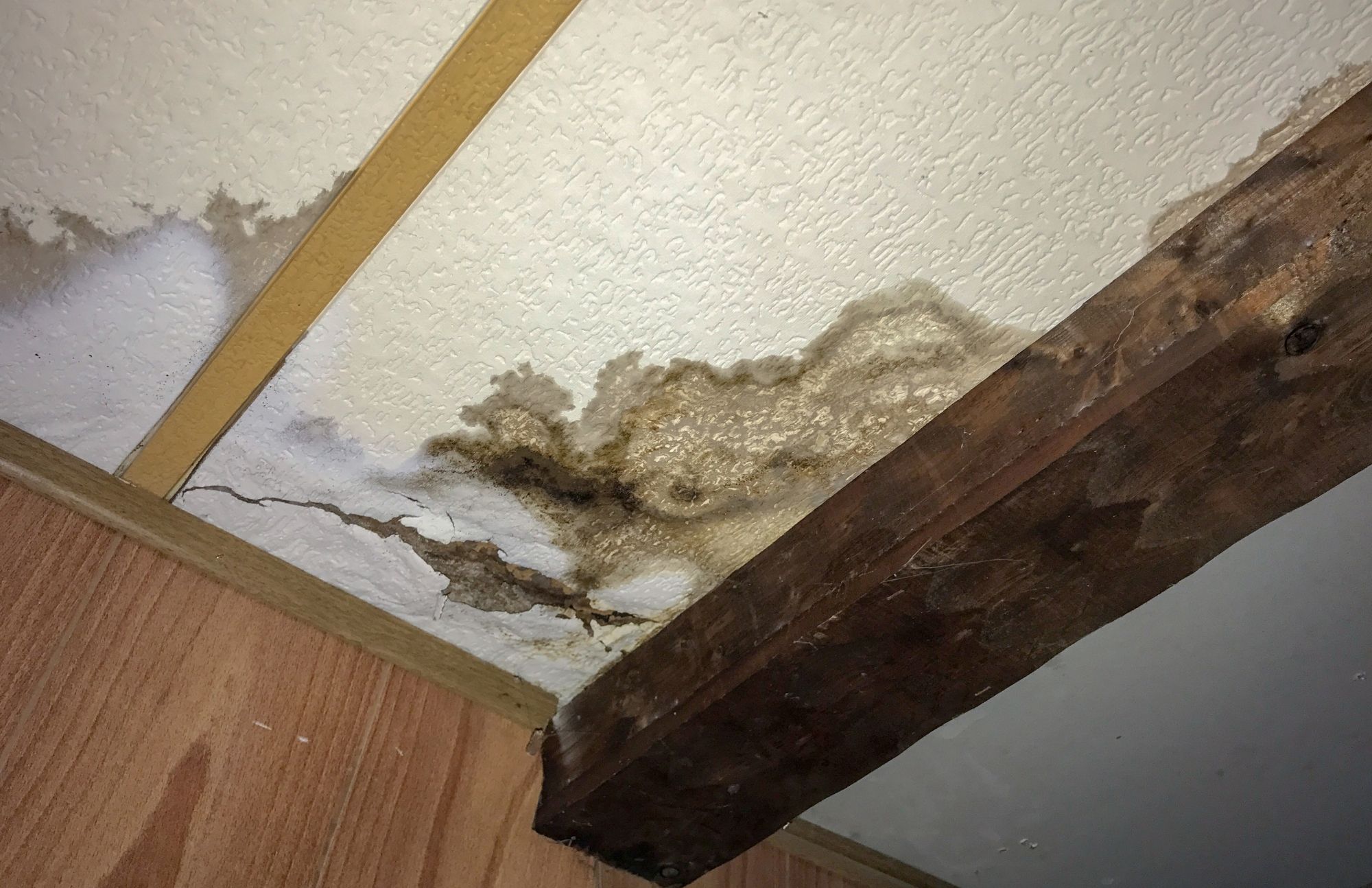 Water Damage Experts of Keno City | 2027 22nd Ave, Kenosha, WI 53140, United States | Phone: (262) 233-4209