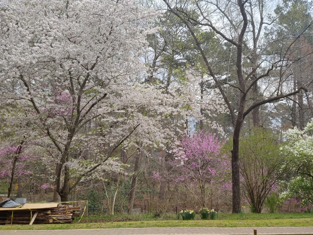 Lost Corner Preserve | 7300 Brandon Mill Rd NW, Sandy Springs, GA 30328, USA | Phone: (770) 730-5600