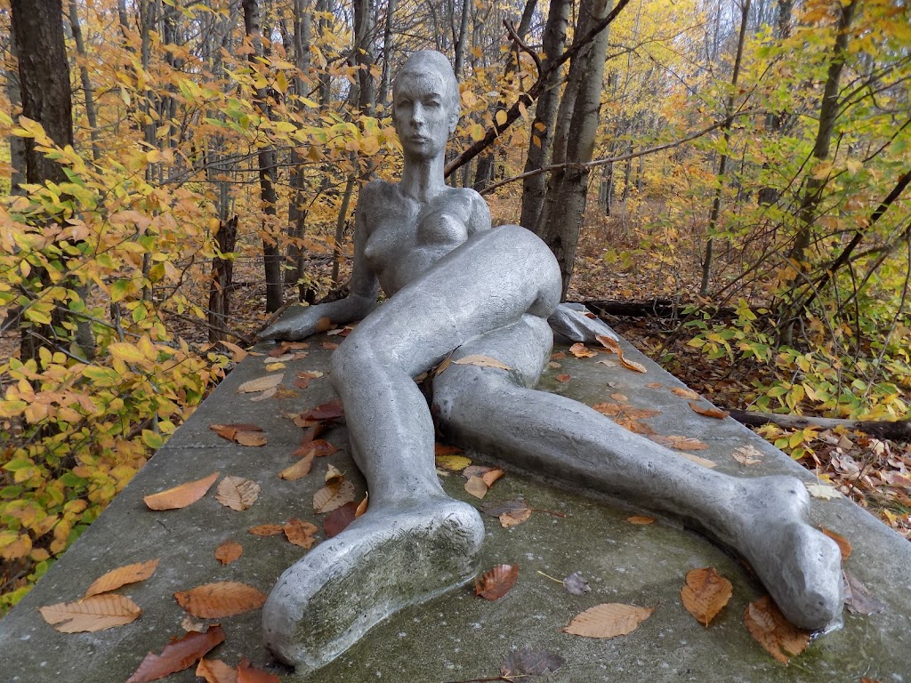 Griffis Sculpture Park | 6902 Mill Valley Rd, East Otto, NY 14729, USA | Phone: (716) 667-2808